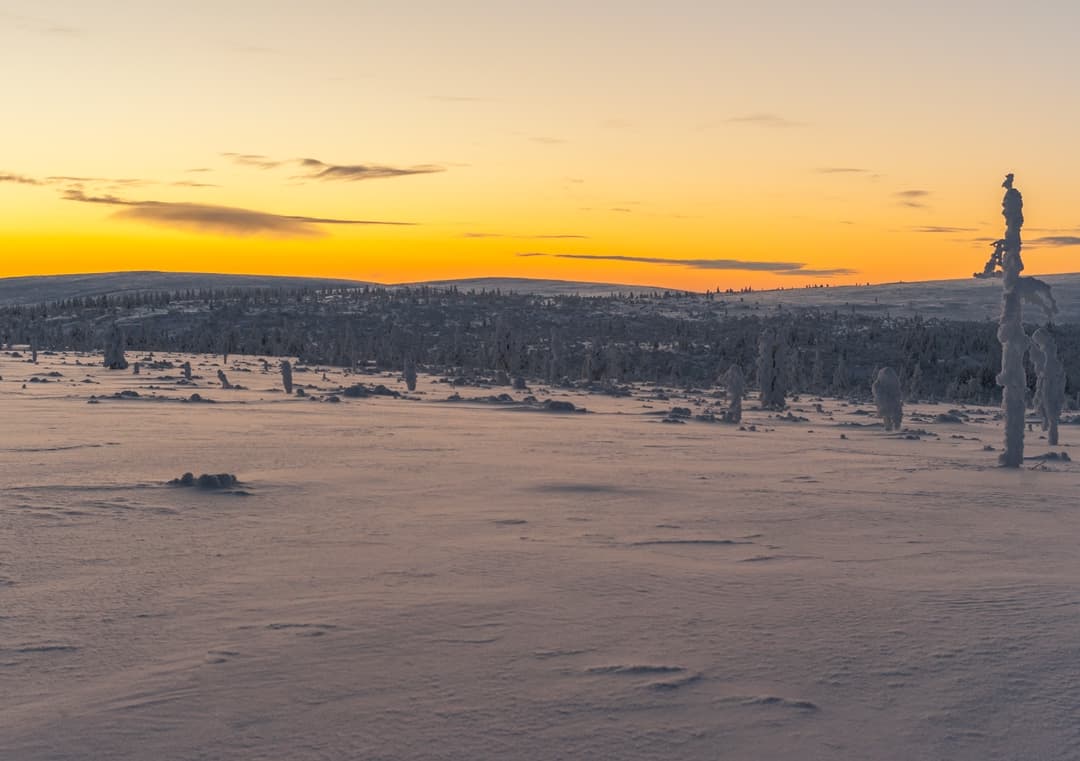 Rovaniemi